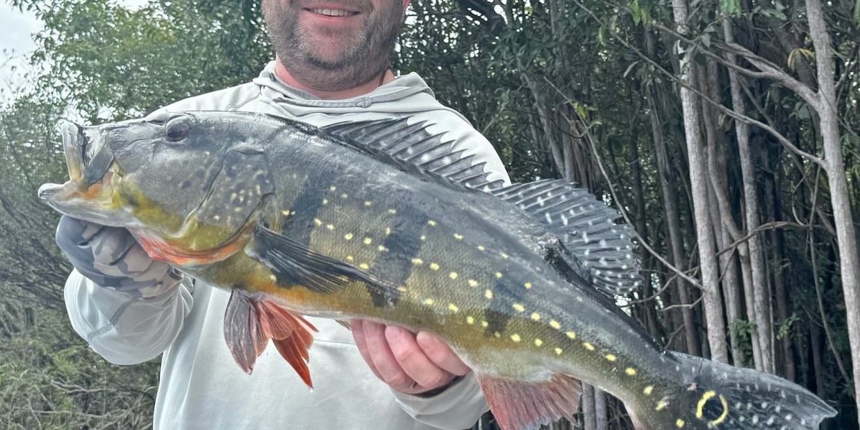 River Plate Peacock Bass Hosted Trip Report River Plate Peacock Bass Hosted Trip Report