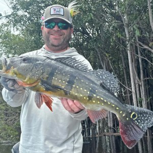 River Plate Peacock Bass Hosted Trip Report