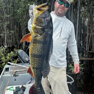 River Plate Peacock Bass Hosted Trip Report