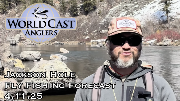 Jackson Hole Fly Fishing Forecast 4.11.25