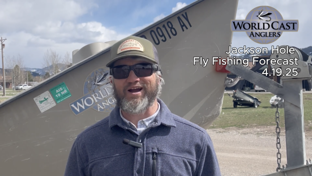 Jackson Hole Fly Fishing Forecast 4.19.25