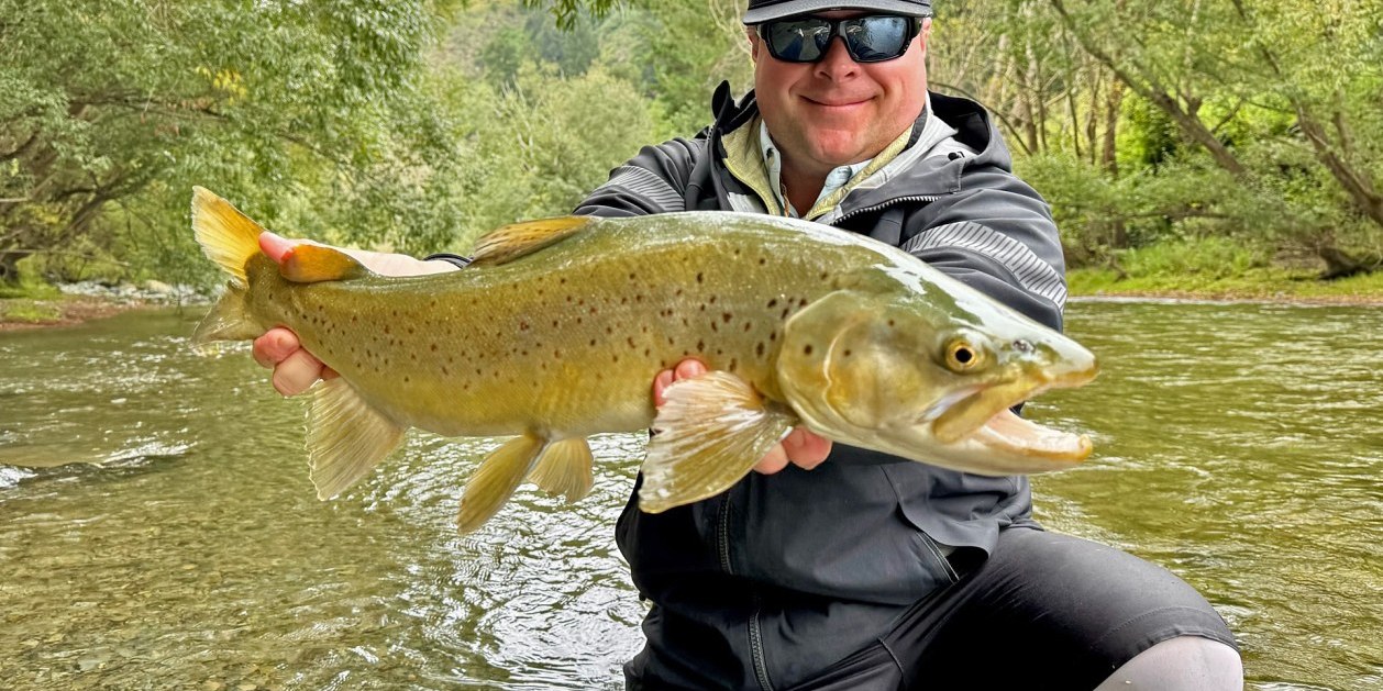 New Zealand South Island Hosted Trip Report - February 2025