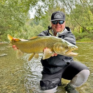 New Zealand South Island Hosted Trip Report - February 2025