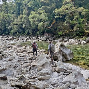 New Zealand South Island Hosted Trip Report - February 2025