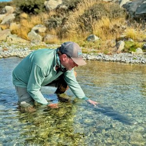 New Zealand South Island Hosted Trip Report - February 2025