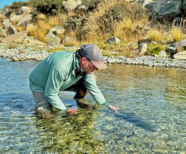 New Zealand South Island Hosted Trip Report - February 2025