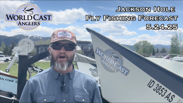 Jackson Hole Fly Fishing Forecast 5.24.25