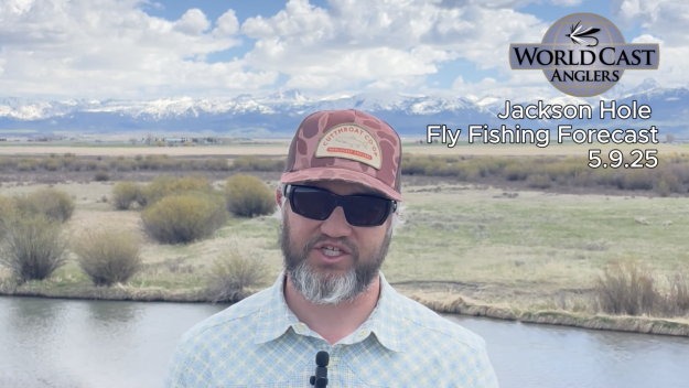 Jackson Hole Fly Fishing Forecast 5.9.25