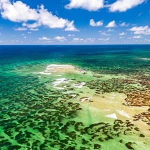 Providence Atoll Hosted Trip Report