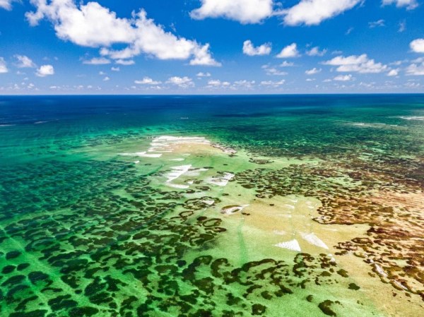 Providence Atoll Hosted Trip Report