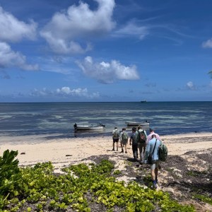 Providence Atoll Trip Report