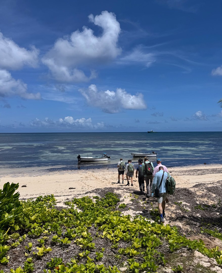 Providence Atoll Trip Report