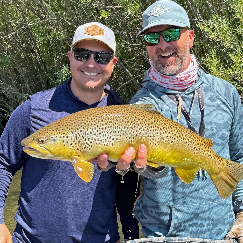 South Fork of the Snake River Fly Fishing