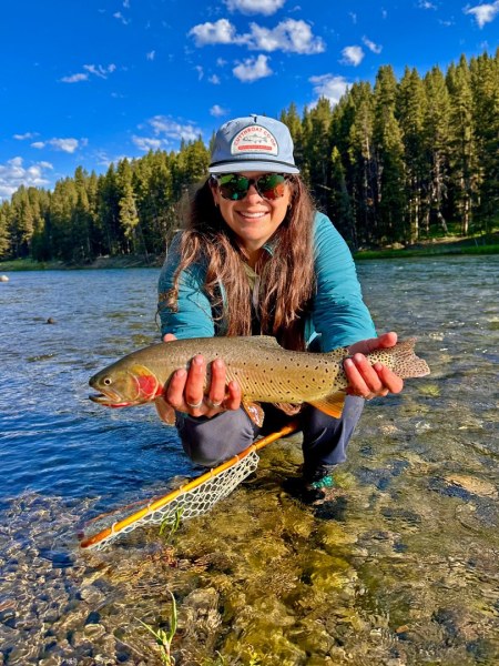 Fly Fishing Yellowstone National Park Fly Fishing Yellowstone National Park