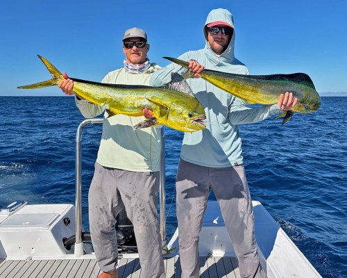 Los-Locos-Mag-Bay-2025-Double-Mahi-Mahi