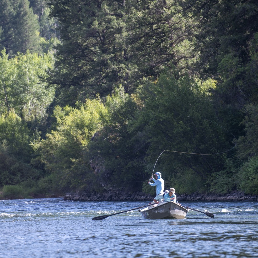South Fork of the Snake River Fly Fishing
