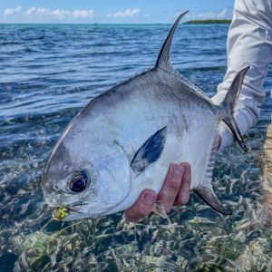 Belize Mothership Trip Belize Permit Club - May 2025