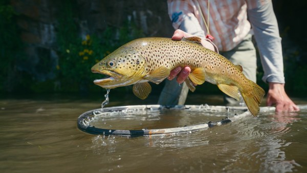 Fly Fishing Idaho's Henry's Fork River - WorldCast Anglers