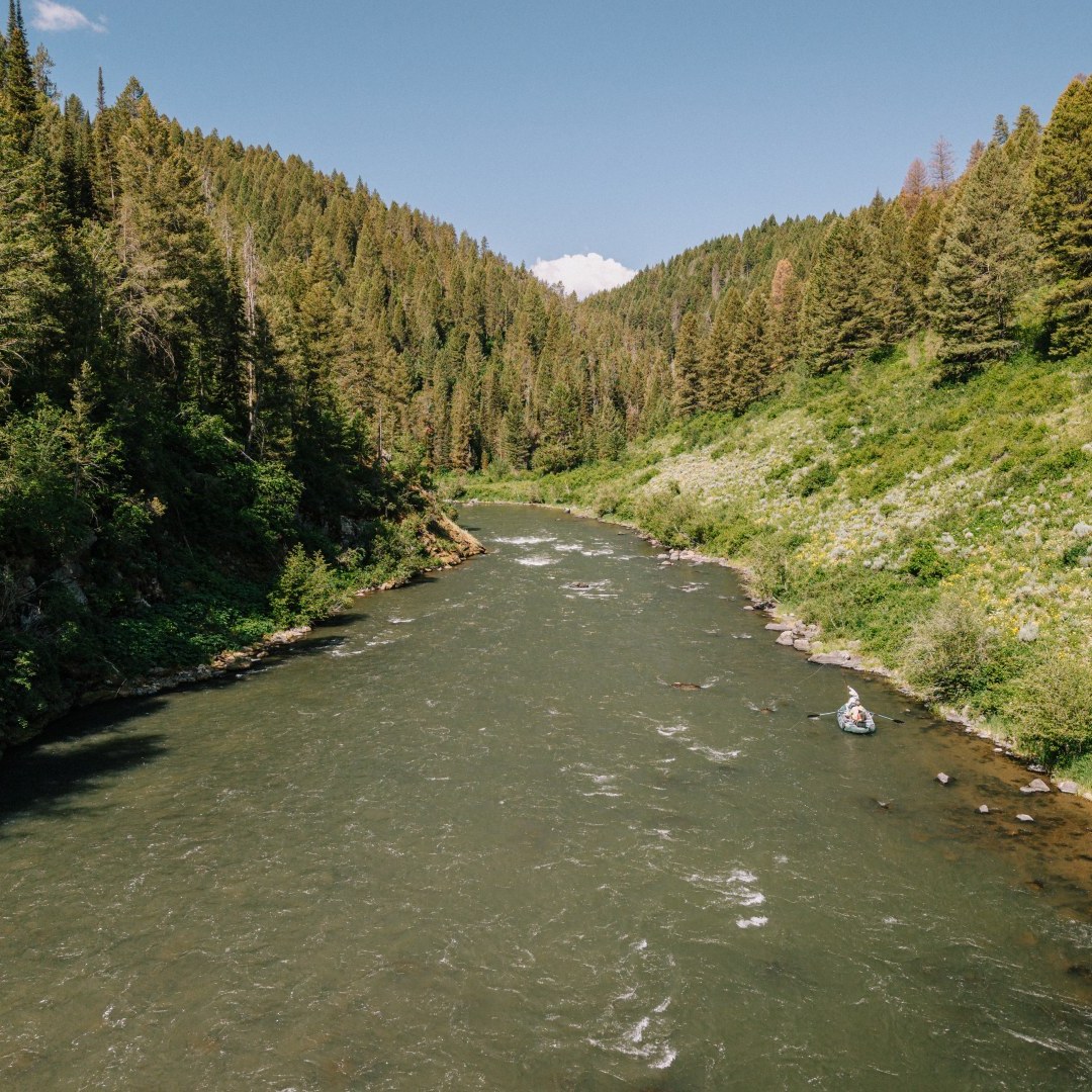 Fly Fishing Idaho's Henry's Fork River - WorldCast Anglers