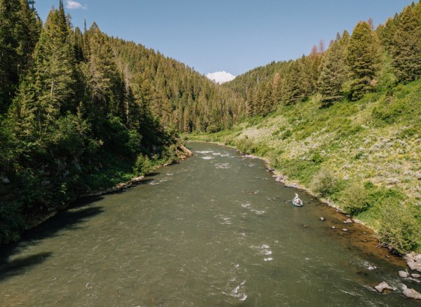 Fly Fishing Idaho's Henry's Fork River - WorldCast Anglers