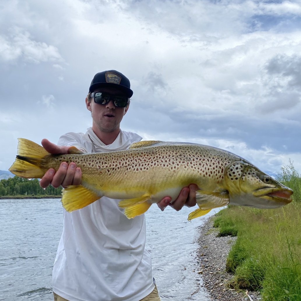 Logan Brewer Logan Brewer