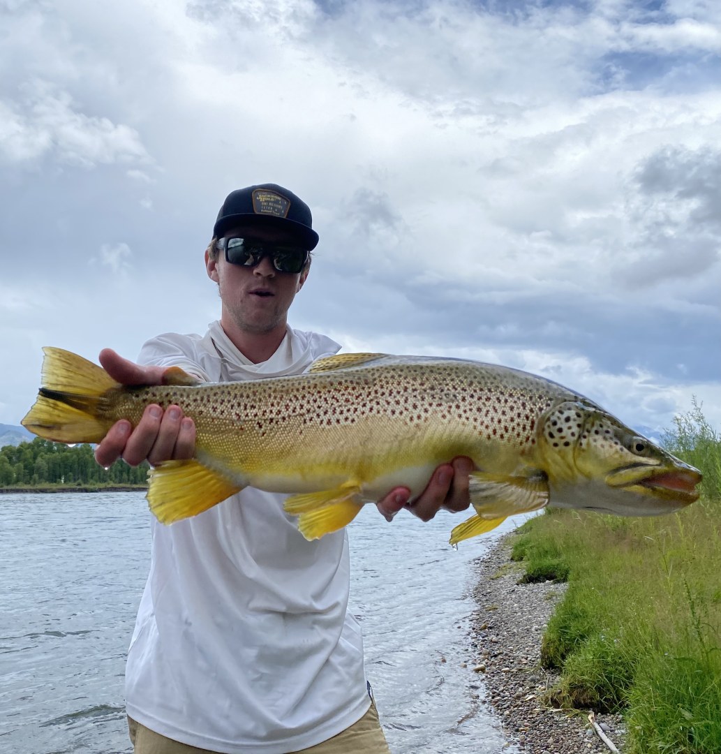 Logan Brewer Logan Brewer
