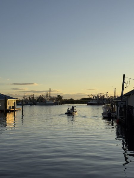 Southern Way Charters - Venice Louisiana Hosted Trip Report Redfish