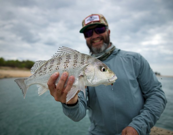 Cape York Lodge - Aussie Fly Fisher