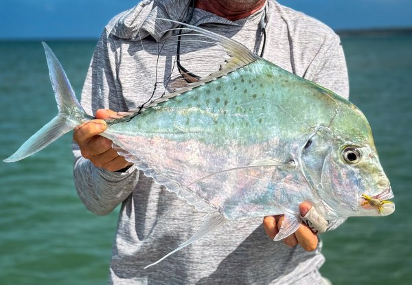 Cape York Lodge - Aussie Fly Fisher