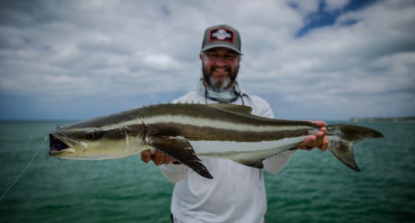 Cape York Lodge - Aussie Fly Fisher