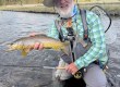 Yellowstone National Park Fishing Report
