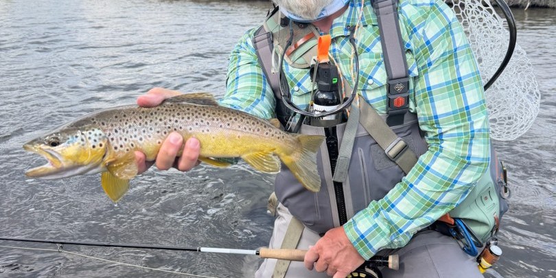 Yellowstone National Park Fishing Report