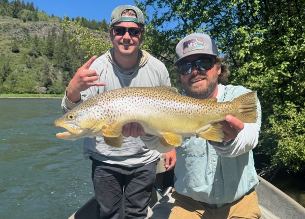 South Fork Fishing Report