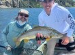 Henry's Fork Fishing Report