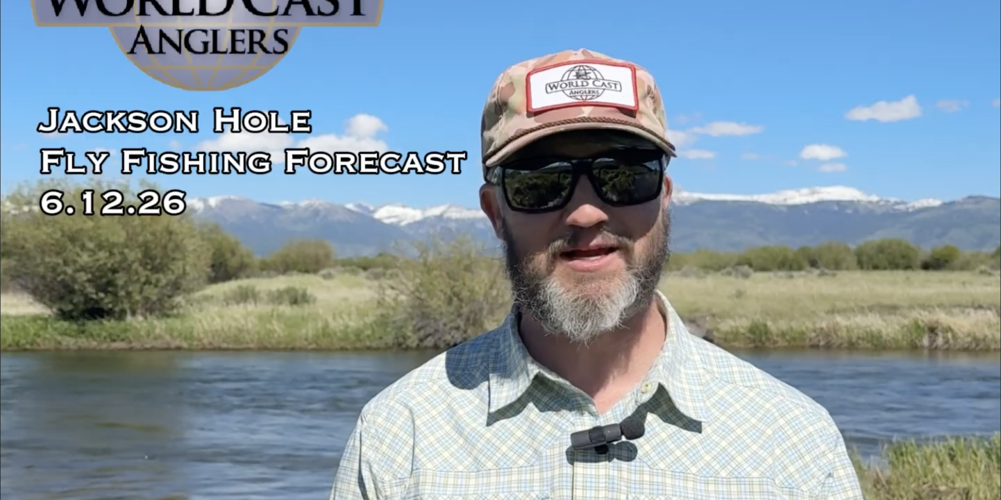 Jackson Hole Fly Fishing Forecast 6.12.26 Jackson Hole Fly Fishing Forecast 6.12.26