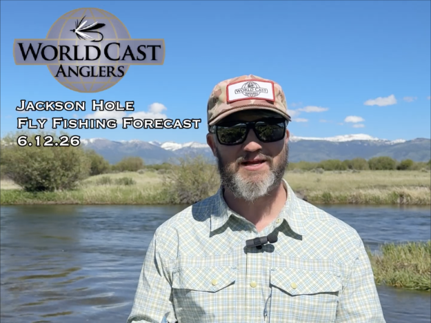 Jackson Hole Fly Fishing Forecast 6.12.26