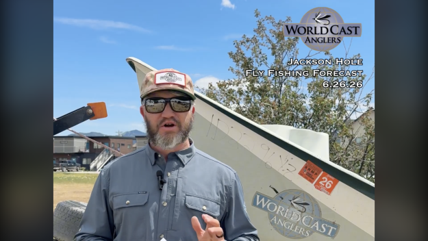 Jackson Hole Fly Fishing Forecast 6.26.26