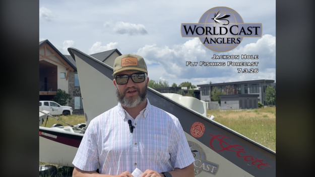 Jackson Hole Fly Fishing Forecast 7.3.26