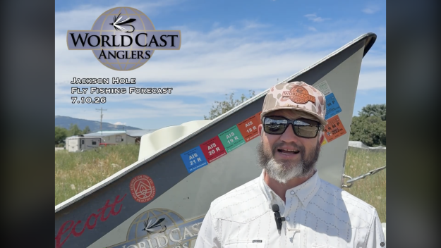 Jackson Hole Fly Fishing Forecast 7.10.26