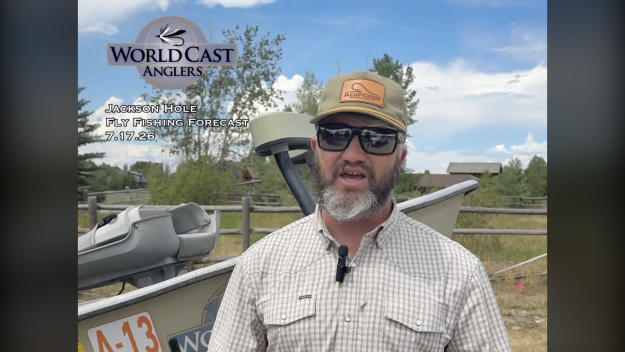 Jackson Hole Fly Fishing Forecast 7.17.26