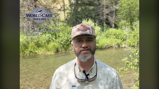 Jackson Hole Fly Fishing Forecast 7.24.26