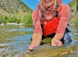 Teton River Fishing Report