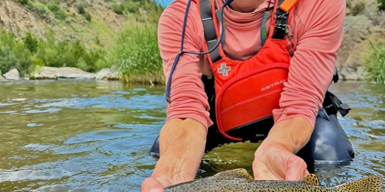 Teton River Fishing Report