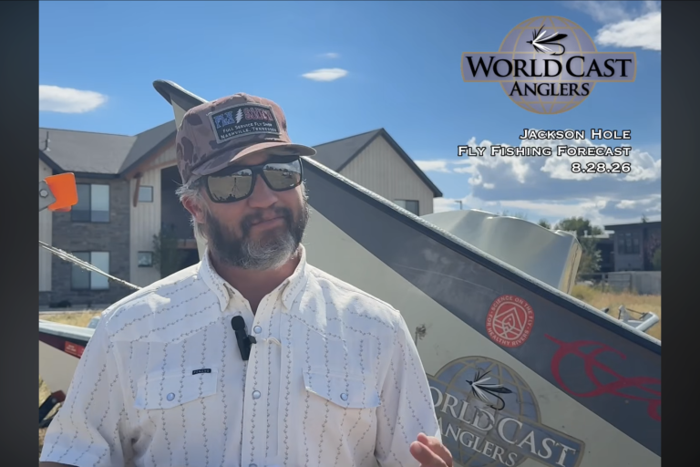 Jackson Hole Fly Fishing Forecast 8.28.26