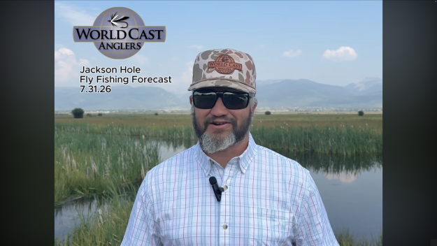 Jackson Hole Fly Fishing Forecast 7.31.26