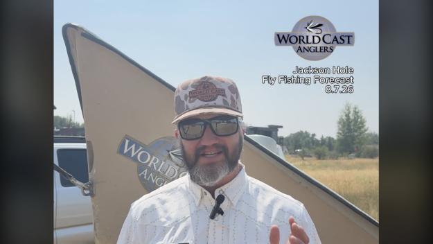 Jackson Hole Fly Fishing Forecast 8.7.26