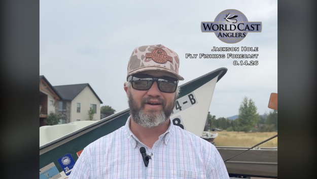 Jackson Hole Fly Fishing Forecast 8.14.26