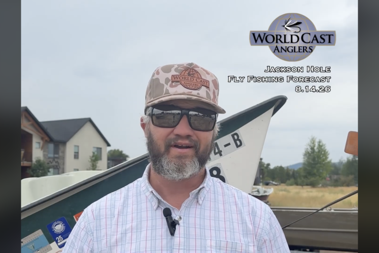 Jackson Hole Fly Fishing Forecast 8.14.26