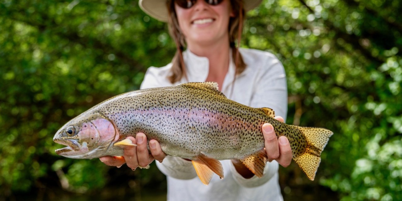 South Fork of the Snake Fishing Report South Fork of the Snake Fishing Report