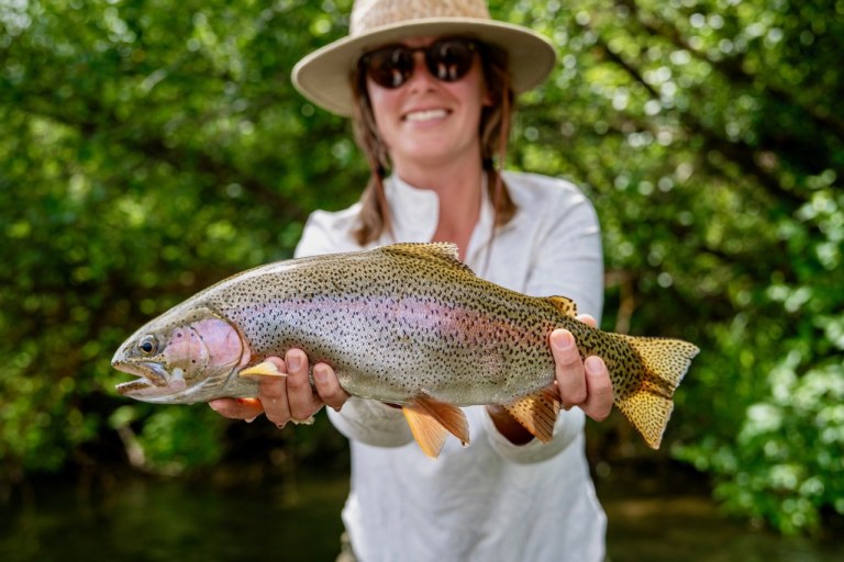 South Fork of the Snake Fishing Report